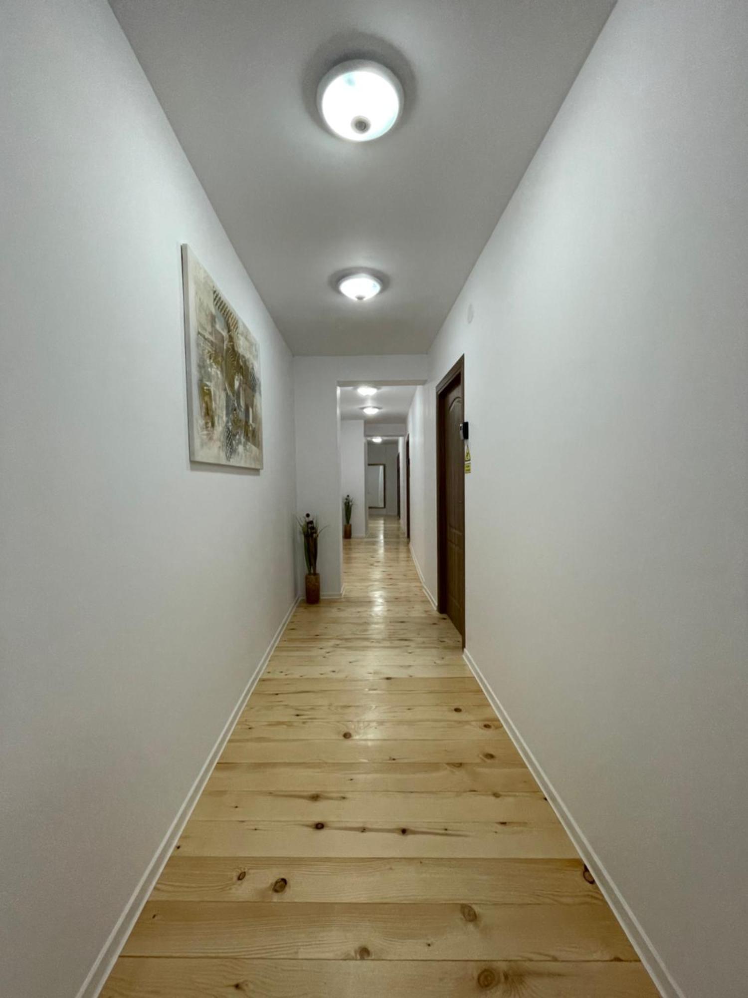 Schei Central Studios In The Heart Of Braşov Eksteriør bilde